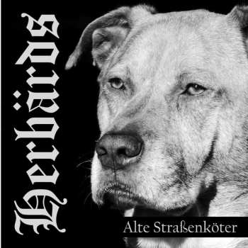 CD Herbärds: Alte Straßenköter