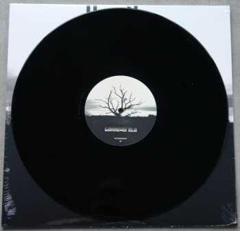 LP HerrNia: Takkewereld