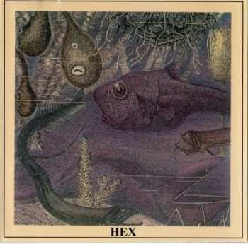 CD Hex: Hex