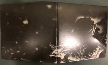 LP Hexis: Split 5" CLR | LTD