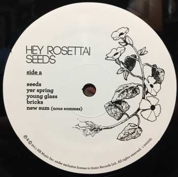 LP/CD Hey Rosetta!: Seeds