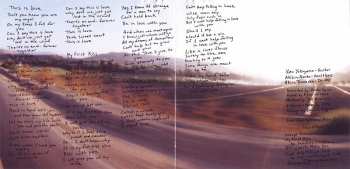 CD Hi-Standard: Love Is A Battlefield