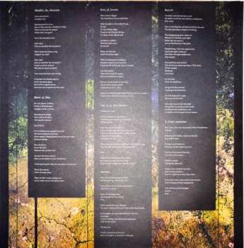 LP Hippotraktor: Meridian LTD | CLR