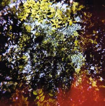 Album Hisato Higuchi: Butterfly Horse Street