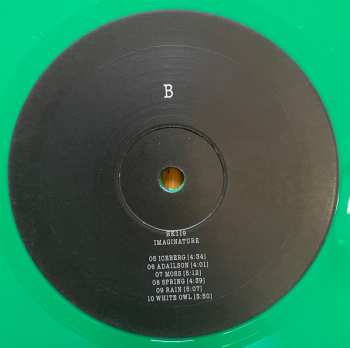 LP HK119: Imaginature