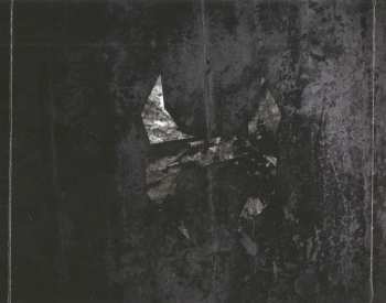 CD Hollow Haze: Poison In Black