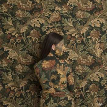 Album Honeyblood: In Plain Sight