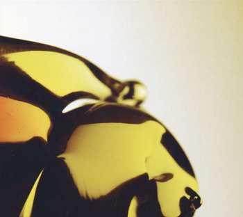 Album Hooray For Earth: True Loves