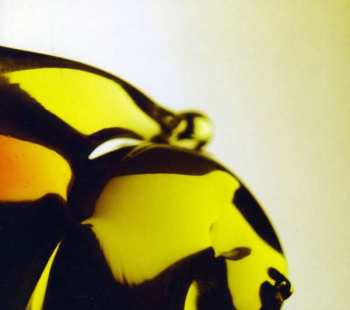 CD Hooray For Earth: True Loves