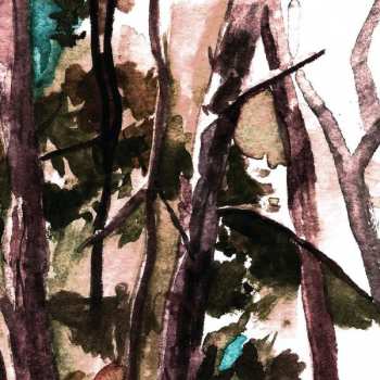 Album Hop Along: Bark Your Head Off, Dog