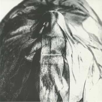 Album Hørd: Parallels