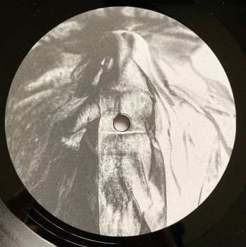 LP Hørd: Parallels LTD