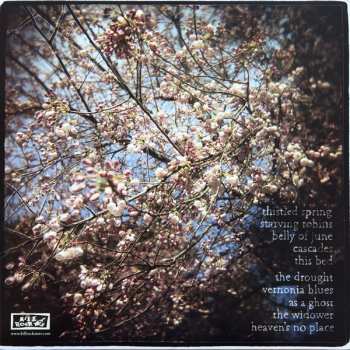 LP Horse Feathers: Thistled Spring