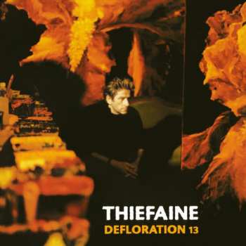 2LP Hubert Félix Thiéfaine: Défloration 13