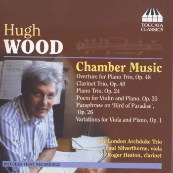 Paul Silverthorne: Chamber Music
