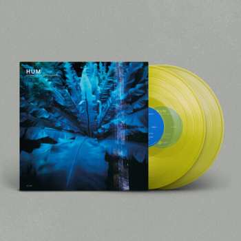2LP Hum: Downward Is Heavenward