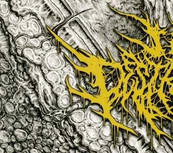 CD I Am Destruction: Nascency DIGI