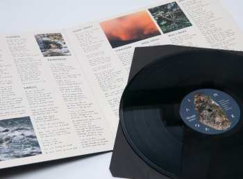 LP I Am Oak: Osmosis