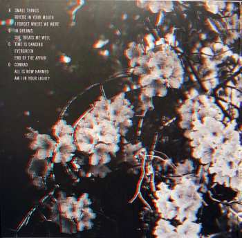 2LP Ben Howard: I Forget Where We Were LTD