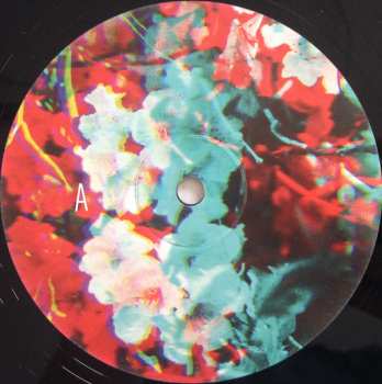 2LP Ben Howard: I Forget Where We Were LTD