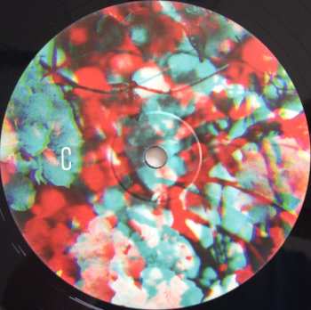 2LP Ben Howard: I Forget Where We Were LTD