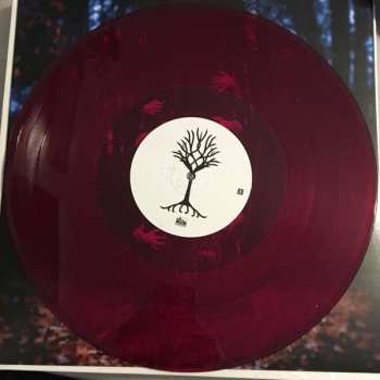 2LP I See Stars: Treehouse