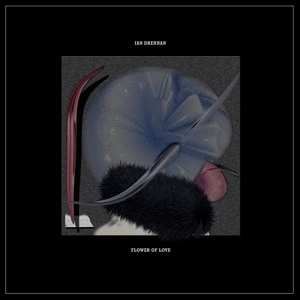 Album Ian Drennan: Flower Of Love