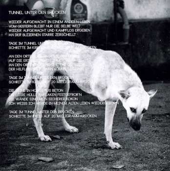 CD IC Falkenberg: Menschen Auf Brücken