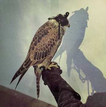 LP Iceage: You're Nothing