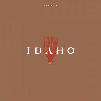 LP Idaho: Levitate