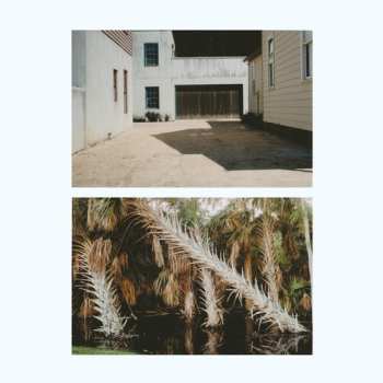 Album Ielasi,giuseppe / Sheen,jack: Vestige