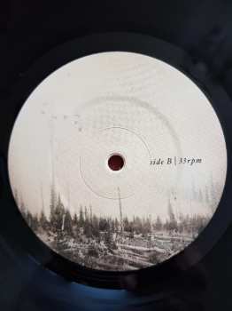 LP If These Trees Could Talk: Red Forest