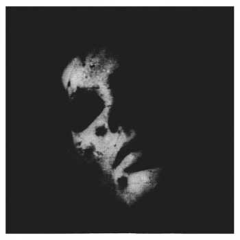 CD/Doos In Solitude: Sister DLX | LTD