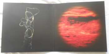 2LP In the Woods...: Omnio