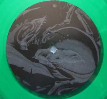 LP Incubator: McGillroy The Housefly CLR