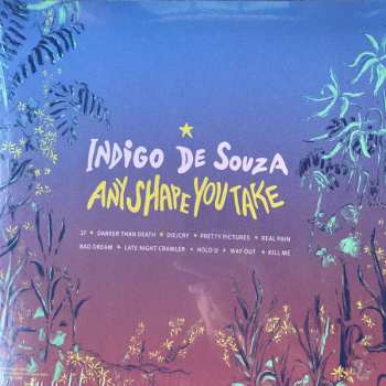 LP Indigo De Souza: Any Shape You Take LTD | CLR