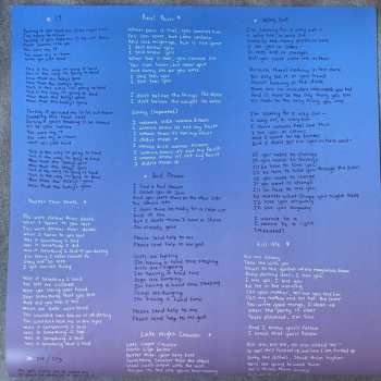 LP Indigo De Souza: Any Shape You Take LTD | CLR