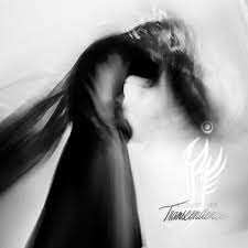 Album Indigo Raven: Looking For Transcendence