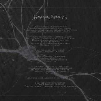 CD Infestus: The Reflecting Void