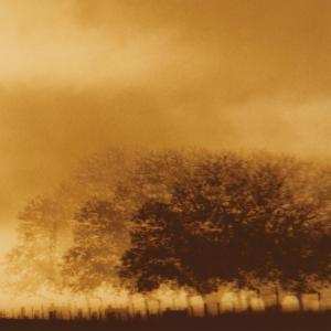 Album Infinite Light Ltd.: Infinite Light Ltd.