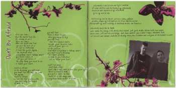 CD Informatik: Beyond