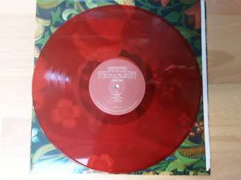 LP Ingrid Michaelson: Stranger Songs CLR