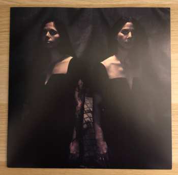 LP Insect Ark: Marrow Hymns LTD | CLR