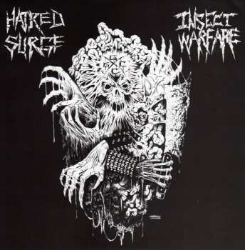 Album Insect Warfare: Insect Warfare / Hatred Surge