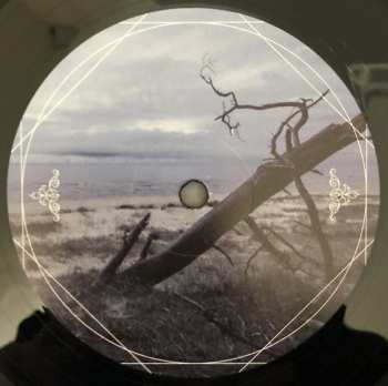 2LP/CD Insomnium: Heart Like A Grave