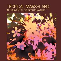 Album Instrumental Sounds Of Nature: Tropical Marshland