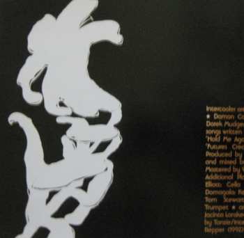 CD Intercooler: Forever Or Whatever