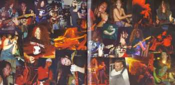 CD Intrinsic: Nails LTD