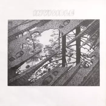 Invisible: Invisible
