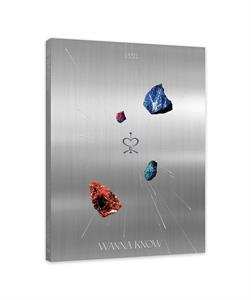 CD Irris: Wanna Know